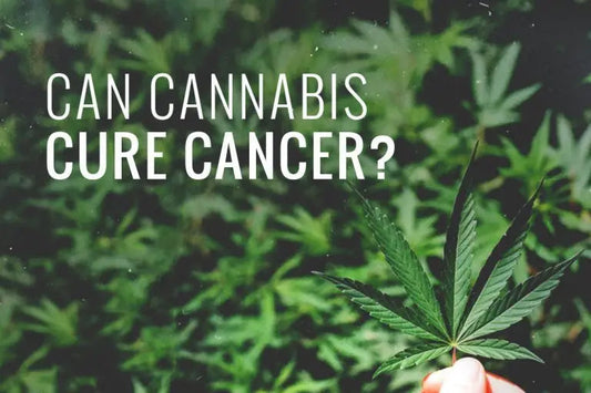 Cannabis Against Cancer: The Latest Developments and Research Findings