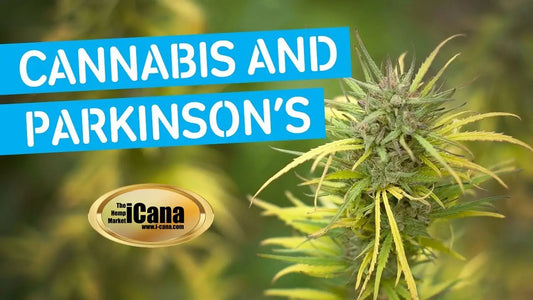 Parkinson’s Disease and Cannabis: What You Need to Know