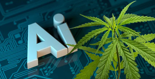 Picture showing AI and cannabis 