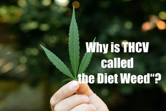 What Is THCV aka the diet weed ? Everything You Need to Know