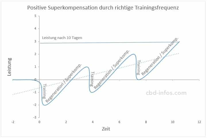 positive Superkompensation